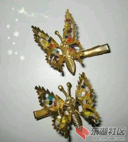 最美凤凰人家书记致辞.JPG