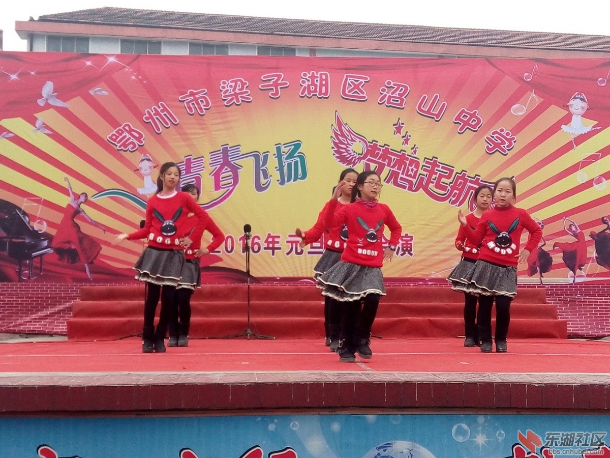 IMG_20151228_150111.jpg