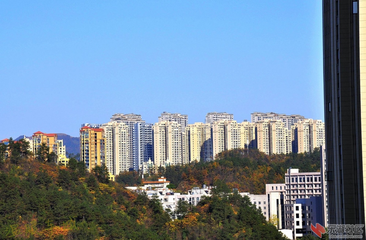 _DSC0013.JPG