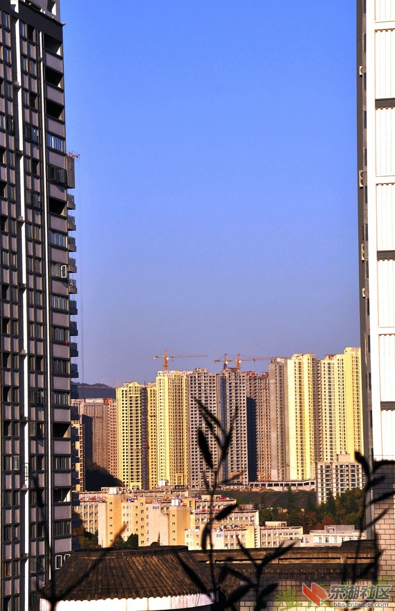 _DSC0073.JPG