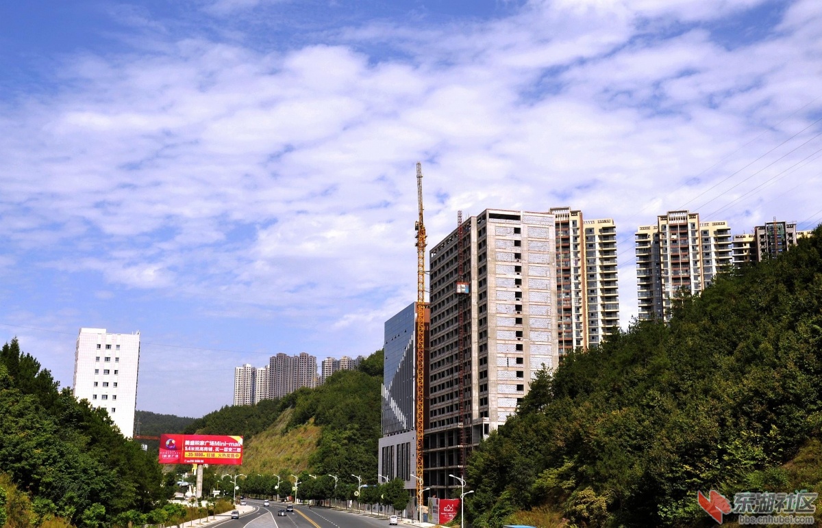 _DSC0003.JPG