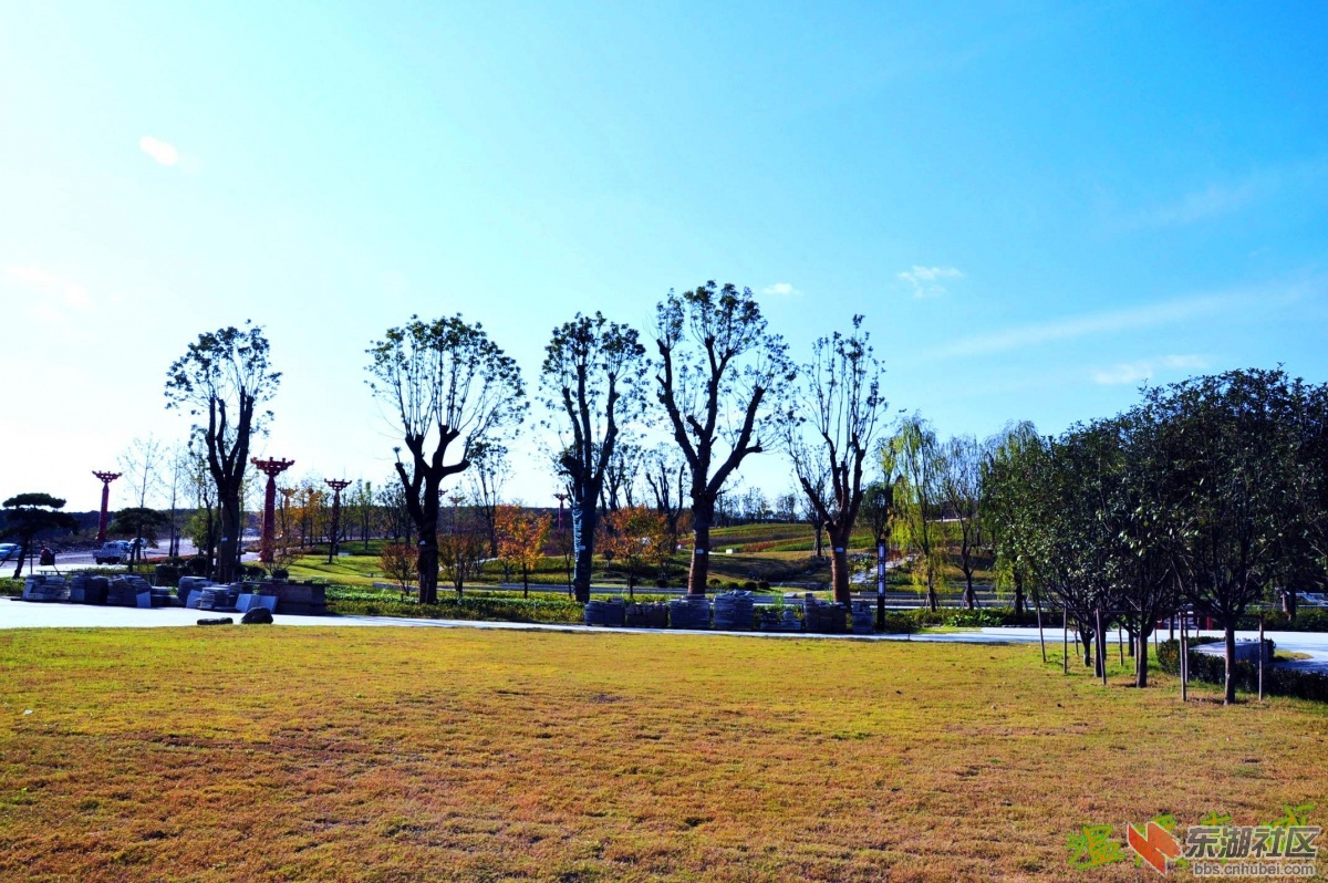 _DSC0008.JPG