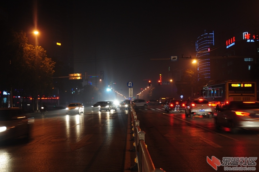 DSC_0057.jpg