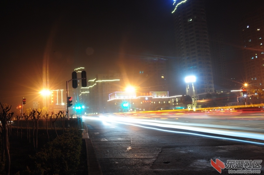 DSC_0084.jpg