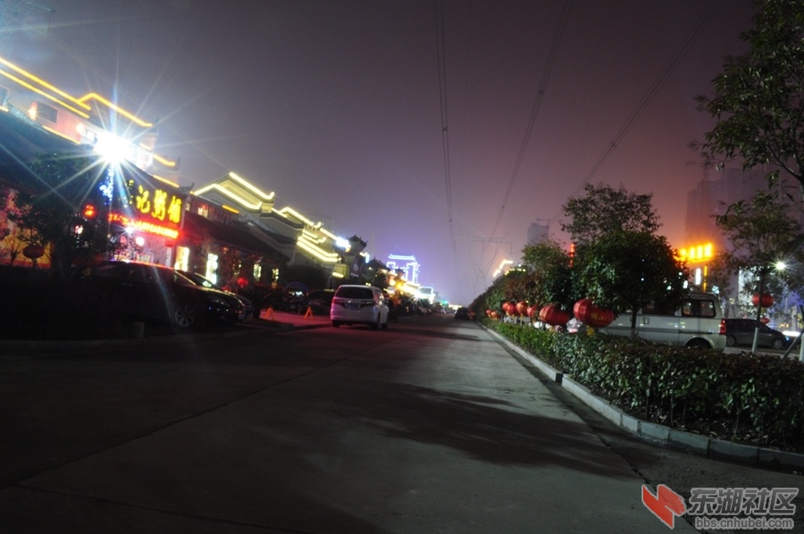DSC_0095.jpg