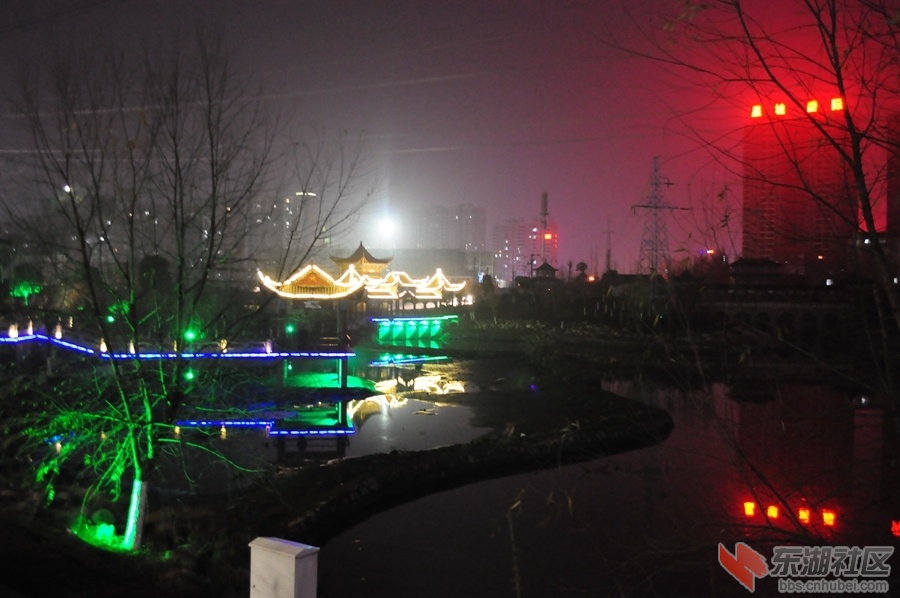 DSC_0102.jpg