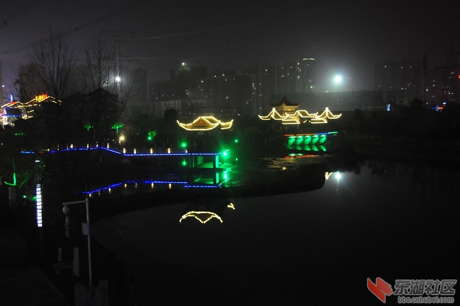 DSC_0106.jpg