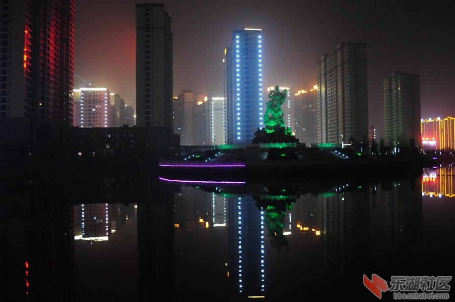 DSC_0113.jpg