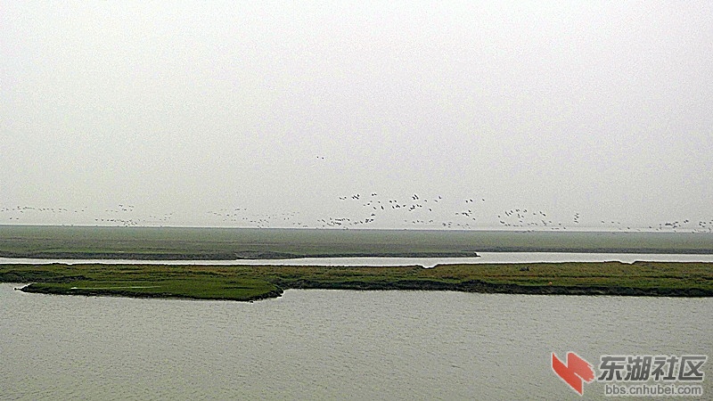 P1890348.JPG