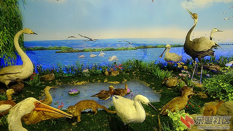 P1890305.JPG
