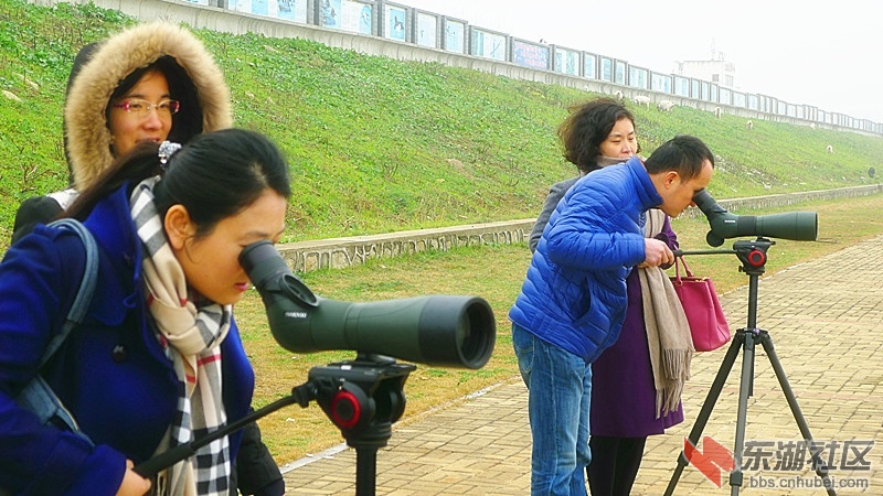 P1890337.JPG