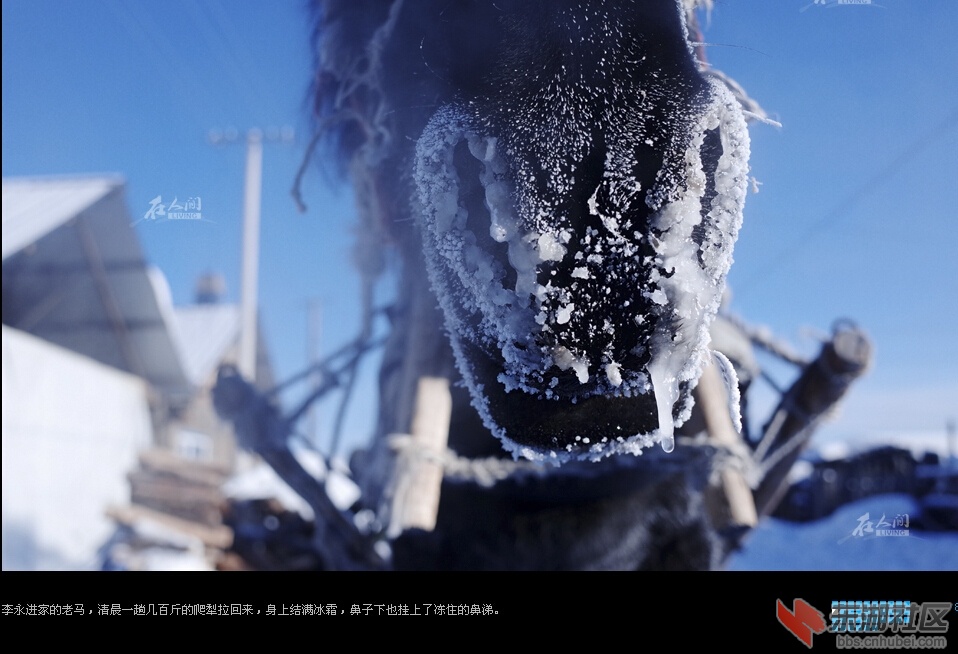 QQ截图20160107211750.jpg