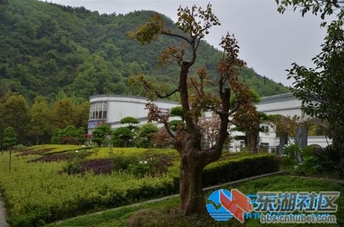 丹江口旅游.jpg