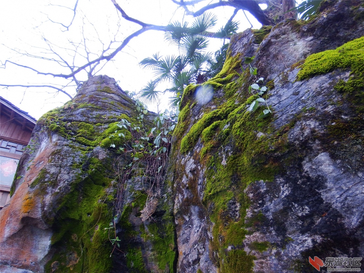 DSCF7917_副本.jpg