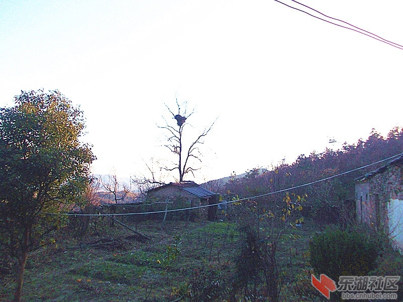 DSCN0858_副本.jpg
