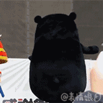 6.gif