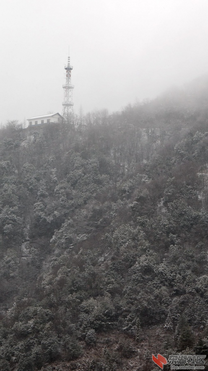 木鱼青天村
