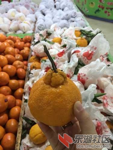 image.jpg