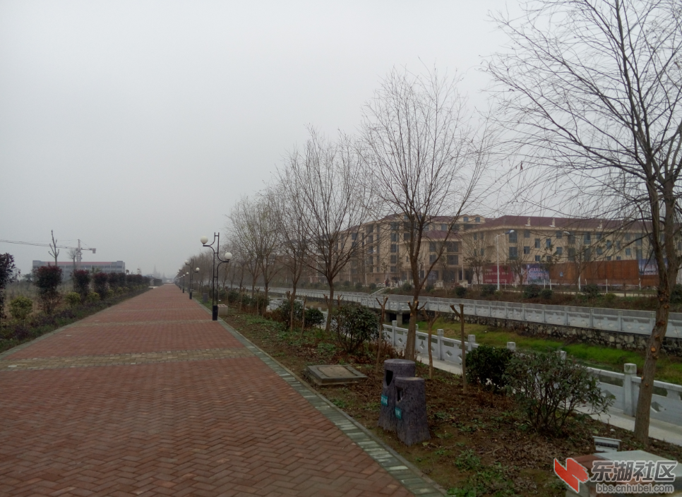 QQ截图20160117173830.png