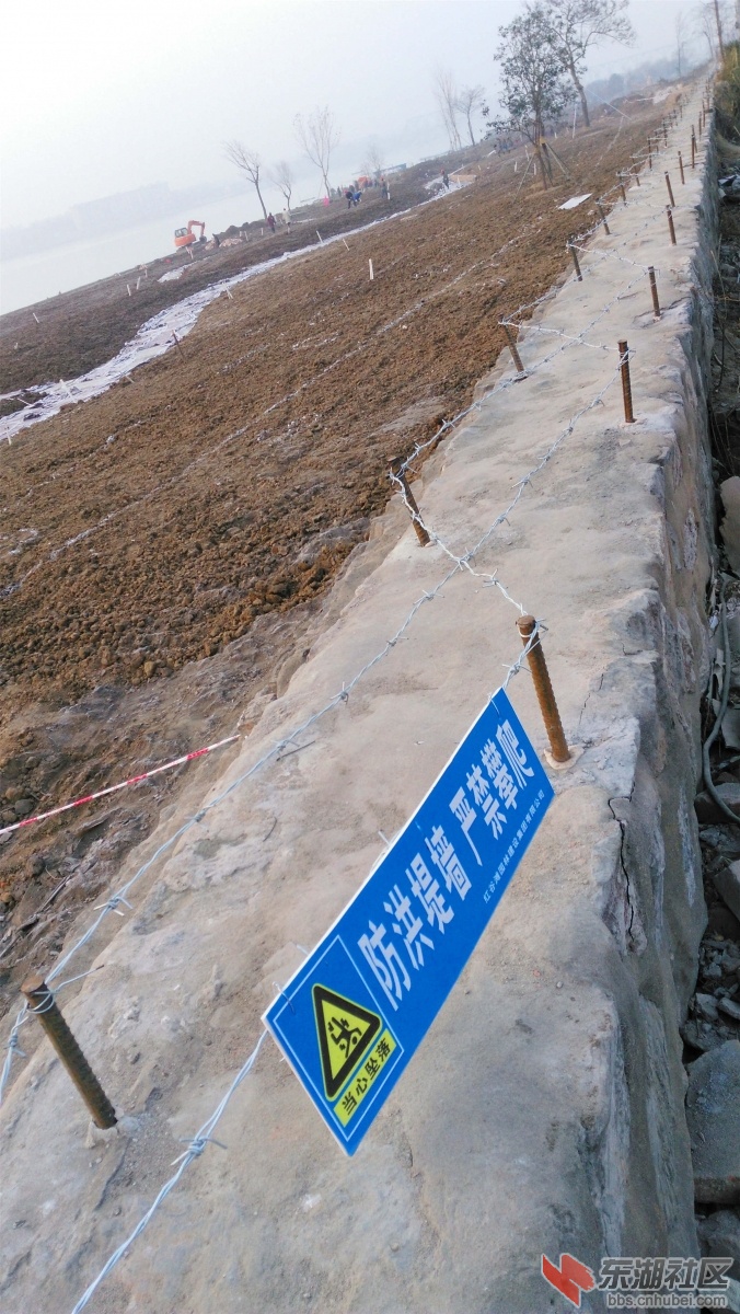 IMG_20160119_080530_副本.jpg