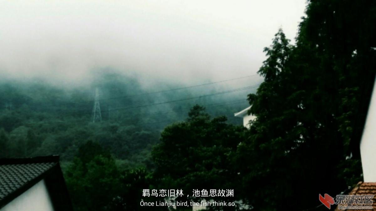 IMG1449151463445.jpg