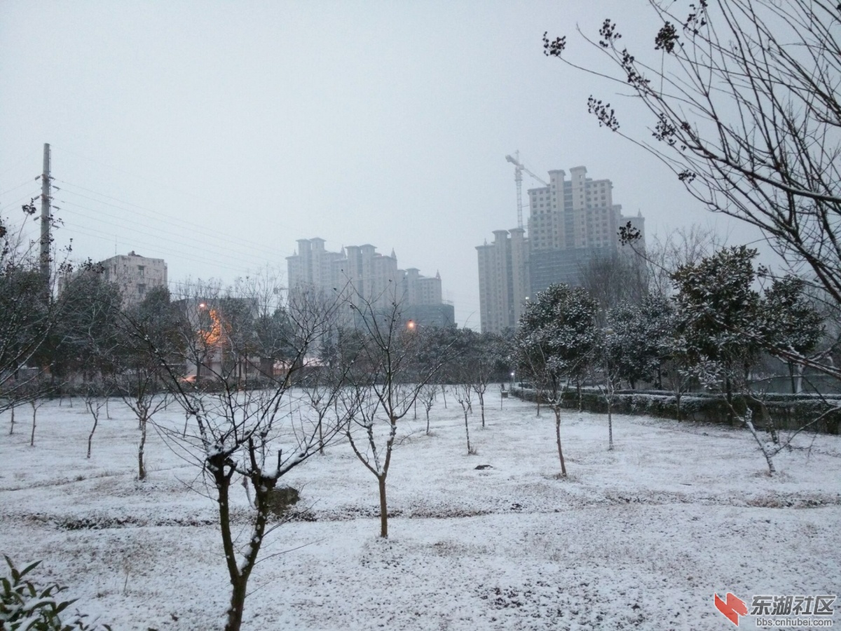 QQ图片20160121122737.jpg