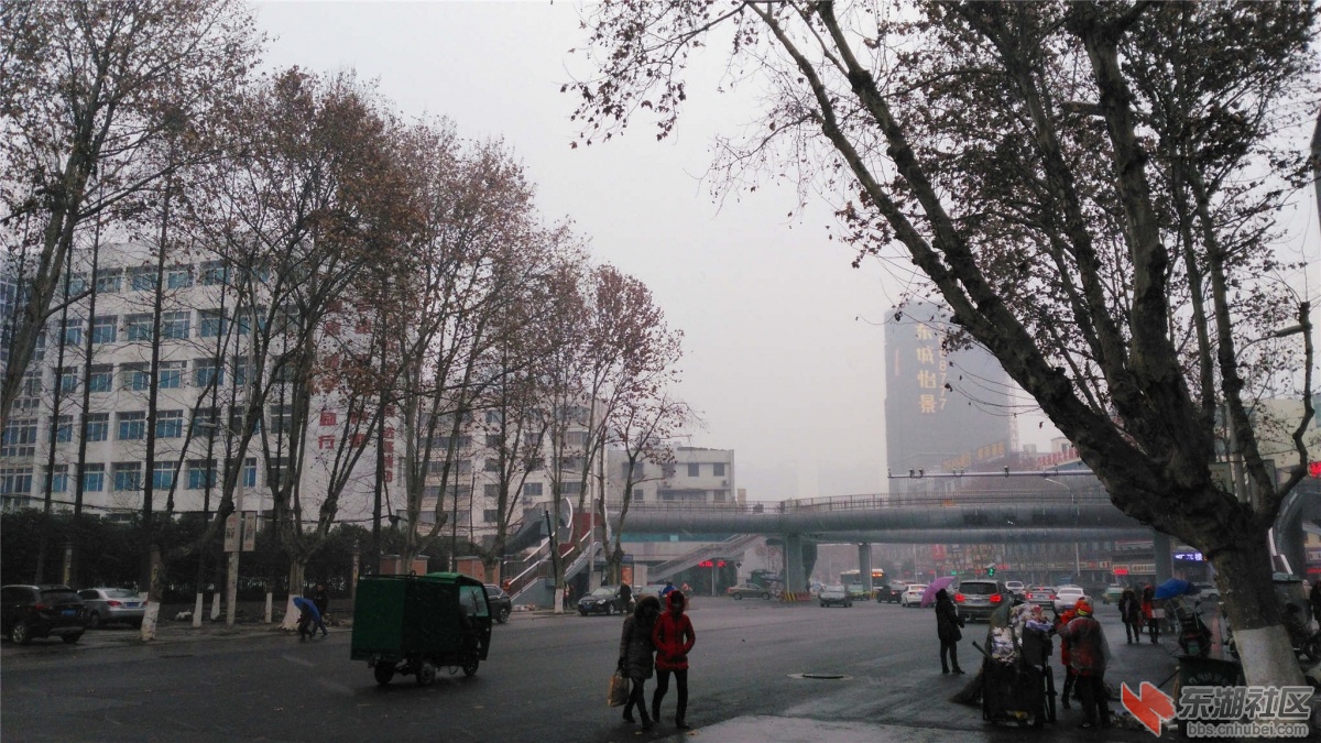 IMG_20160122_154743_副本.jpg