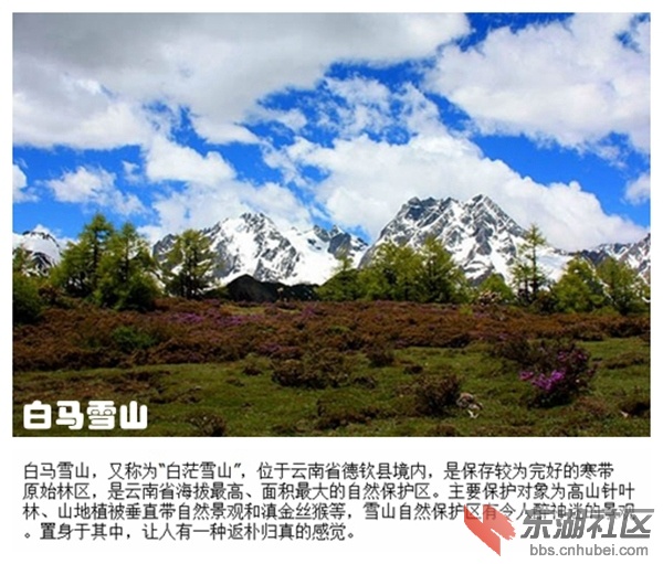 06白马雪山.jpg