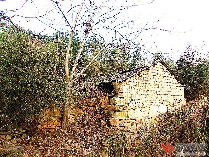 DSCN0910_副本.jpg