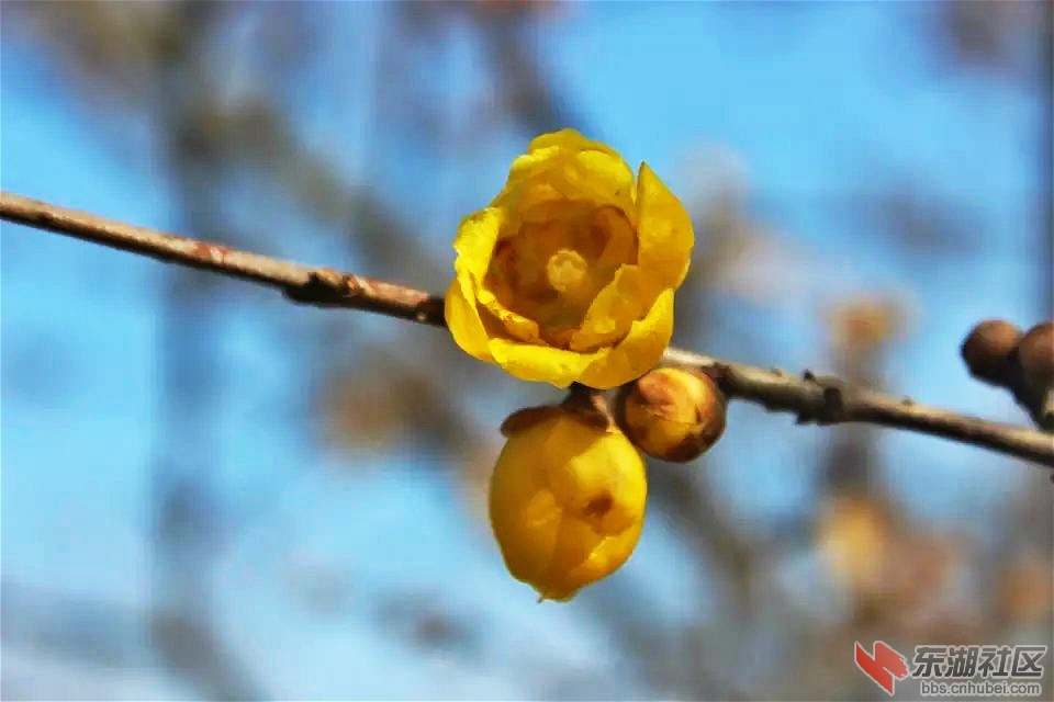 psb_meitu_13.jpg