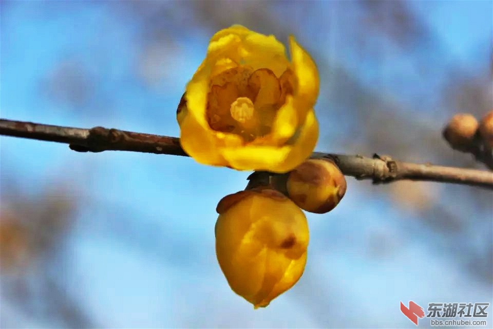 psb_meitu_14.jpg