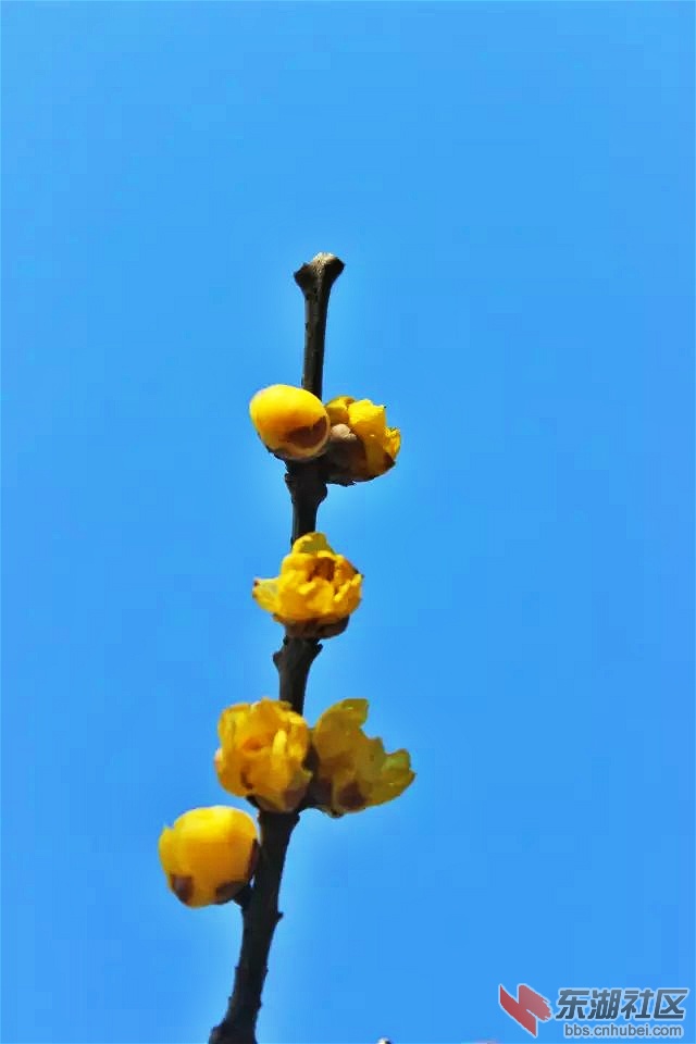 psb_meitu_17.jpg