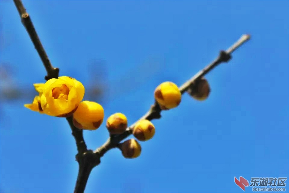 psb_meitu_18.jpg
