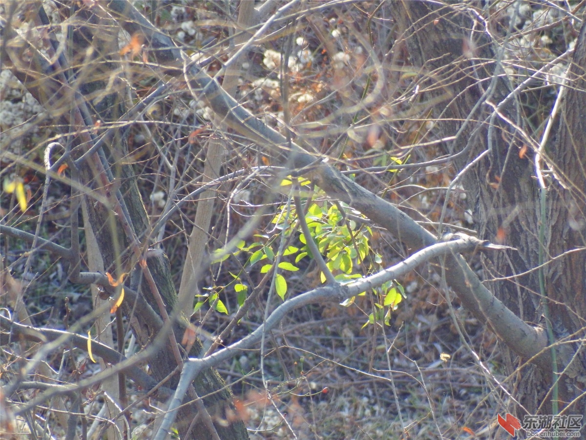 DSCF8610_副本.jpg