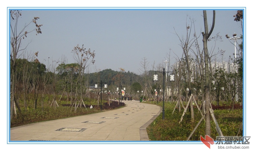 IMG_8898_副本.jpg