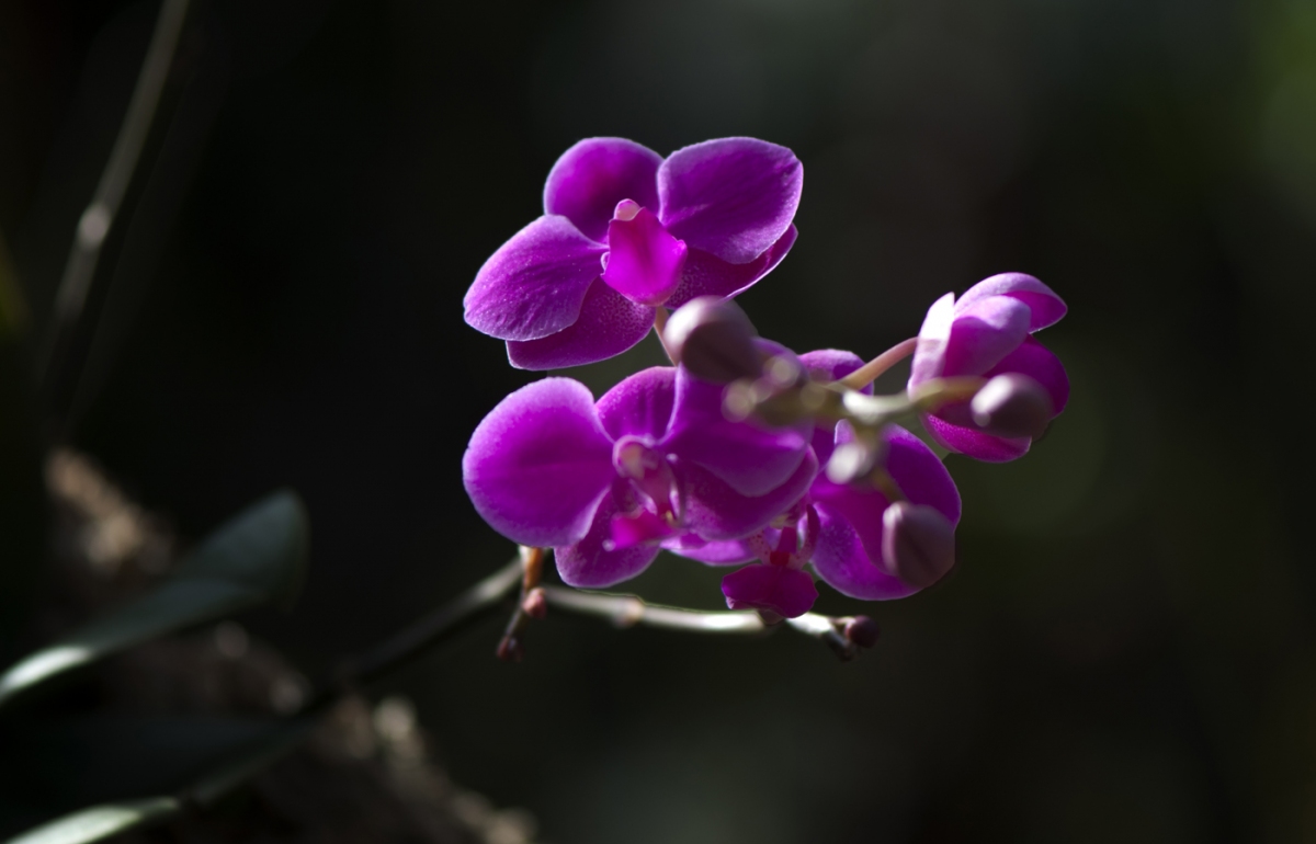 DSC_7893副本.jpg