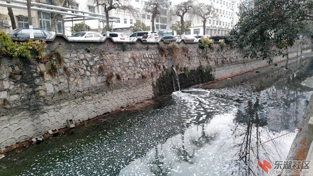 IMG_20160126_085209.jpg