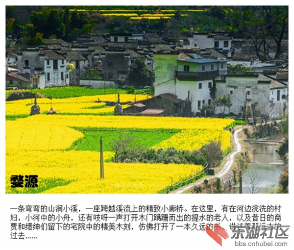 01婺源.jpg