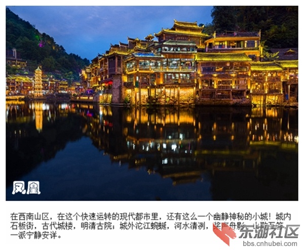 06凤凰.jpg