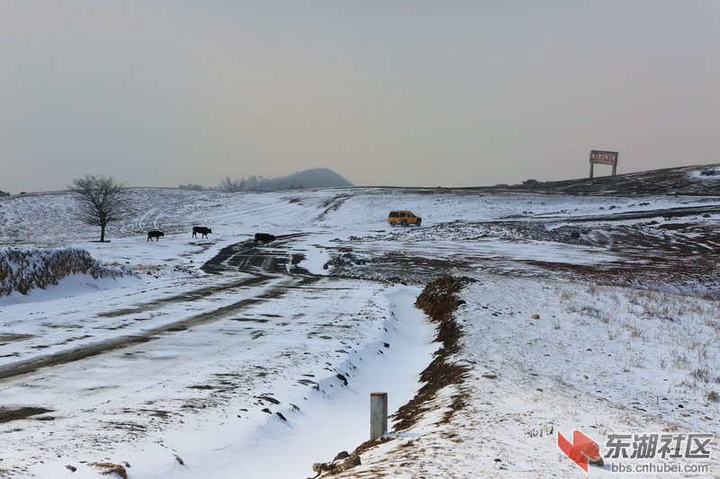 离去的越野车.jpg