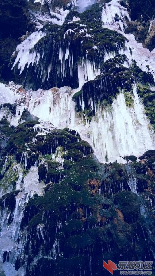 QQ图片20160126133254.jpg