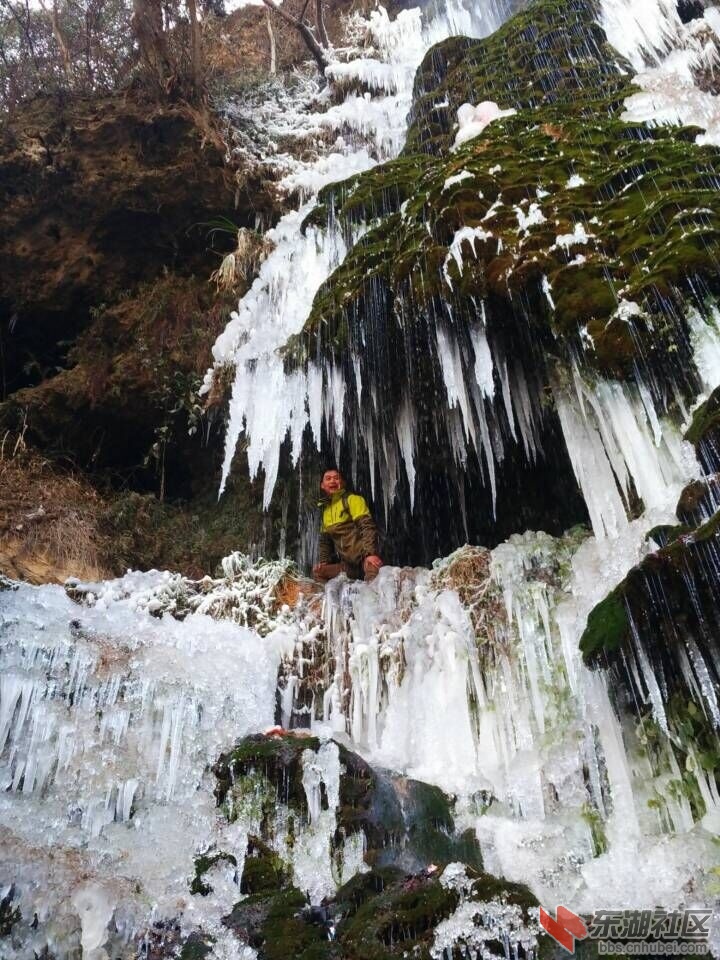 QQ图片20160126133515.jpg