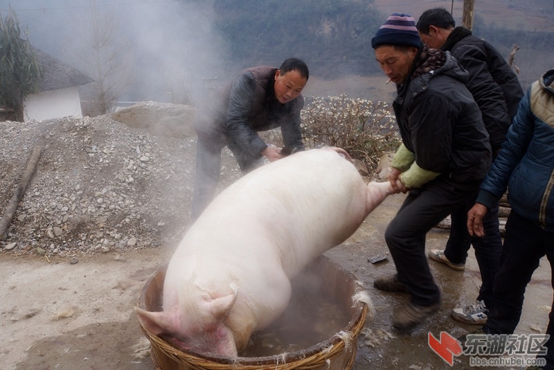 DSC05968_副本.jpg