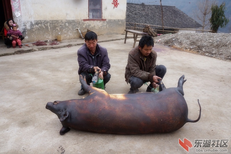 DSC05960_副本.jpg