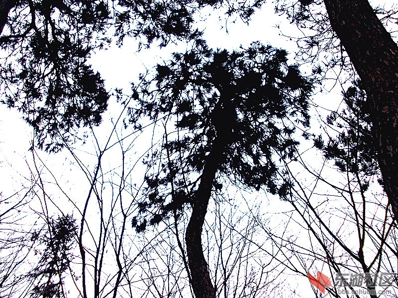 DSCN0955_副本.jpg