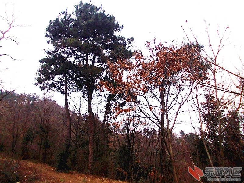 DSCN0956_副本.jpg