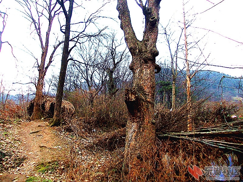 DSCN0958_副本.jpg