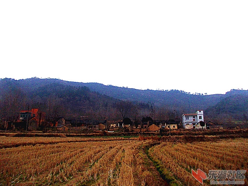 DSCN0959_副本.jpg