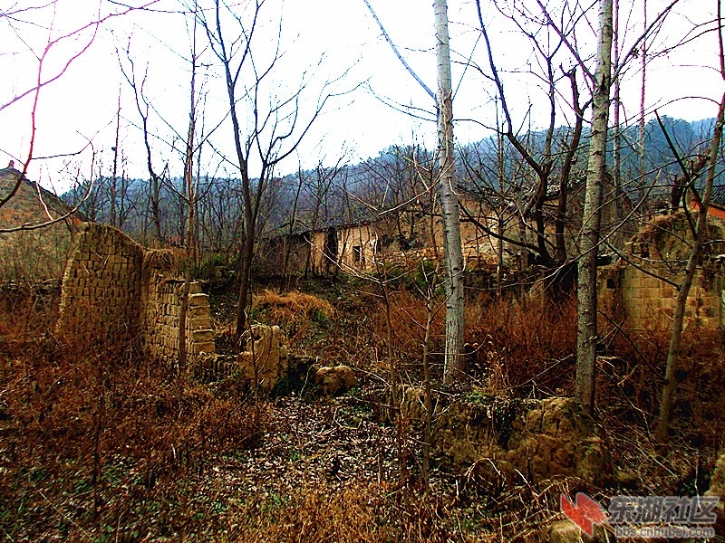 DSCN0961_副本.jpg