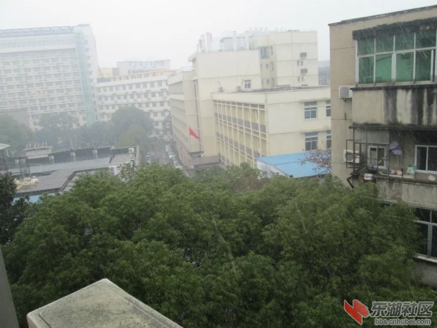 215.jpg